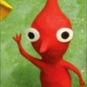 Meet your Posher, Rahul